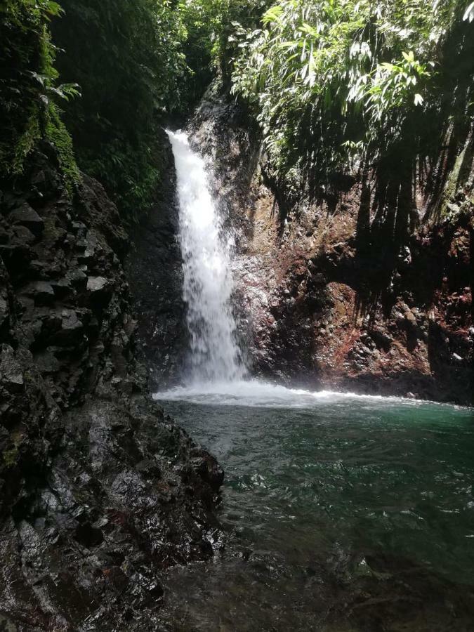 Posada El Acuario Bahia Solano Εξωτερικό φωτογραφία